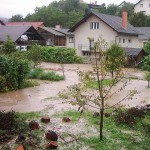 Premoženjska škoda